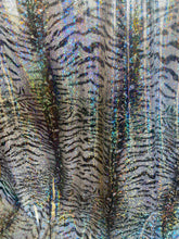 Load image into Gallery viewer, iridescent Hologram black White tiger design spandex stretch for all 4 sides 58/60 wide sold by the yard
